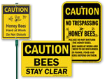 Bee Safety