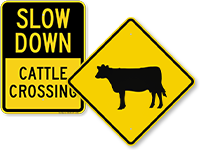 Cattle Crossing Signs