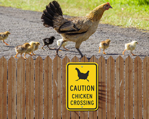 Animal Crossing Sign