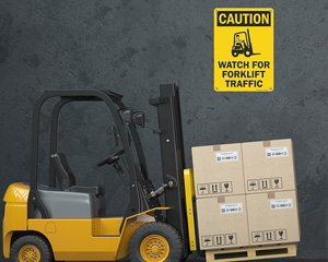 Forklift & Vehicle Safety