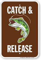 Catch & Release