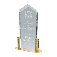 Pop in Acrylics Arrow Award with Base