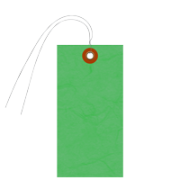 Green Tyvek Shipping Blank Tag With Wire And Eyelet